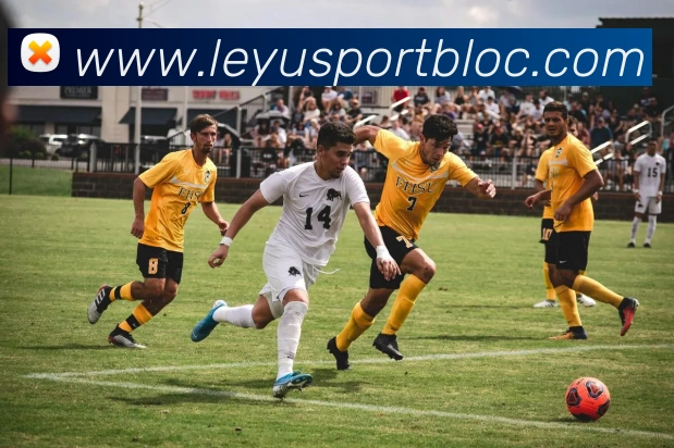 乐鱼体育平台生态图