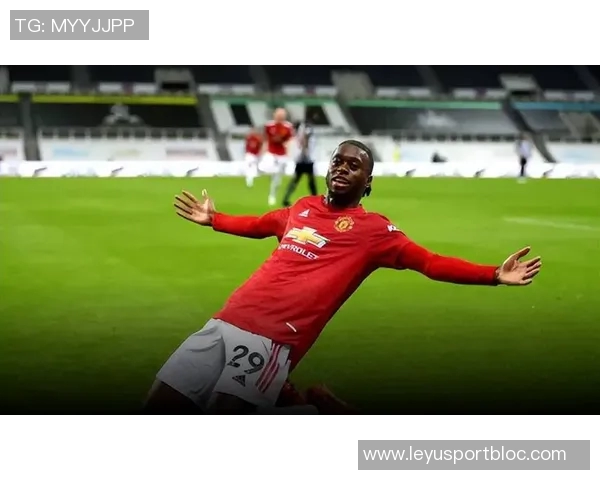 罗马俱乐部关注沙尔克年轻后卫梅尔特坎艾汉报价约800万欧元